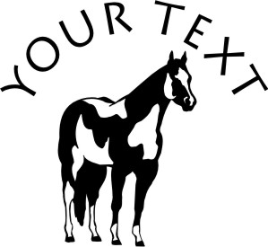 Paint Horse decal